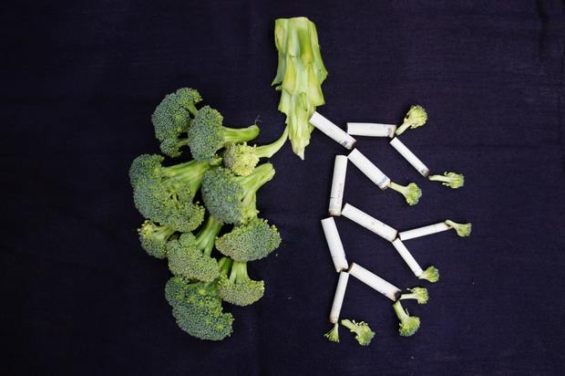 a photo of broccoli arranged like a set of lungs, one side is made up of cigarette butts